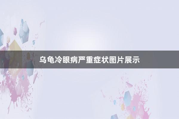 乌龟冷眼病严重症状图片展示